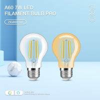 A60 LED E27 Leuchtmittel ZigBee3.0 Pro Serie CCT Farbtemperatur