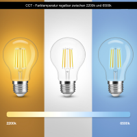 A60 LED E27 Leuchtmittel ZigBee3.0 Pro Serie CCT Farbtemperatur Glas - Amber
