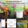 ZigBee Temperatur und Feuchtigkeitsmesser Tuya Smart Life